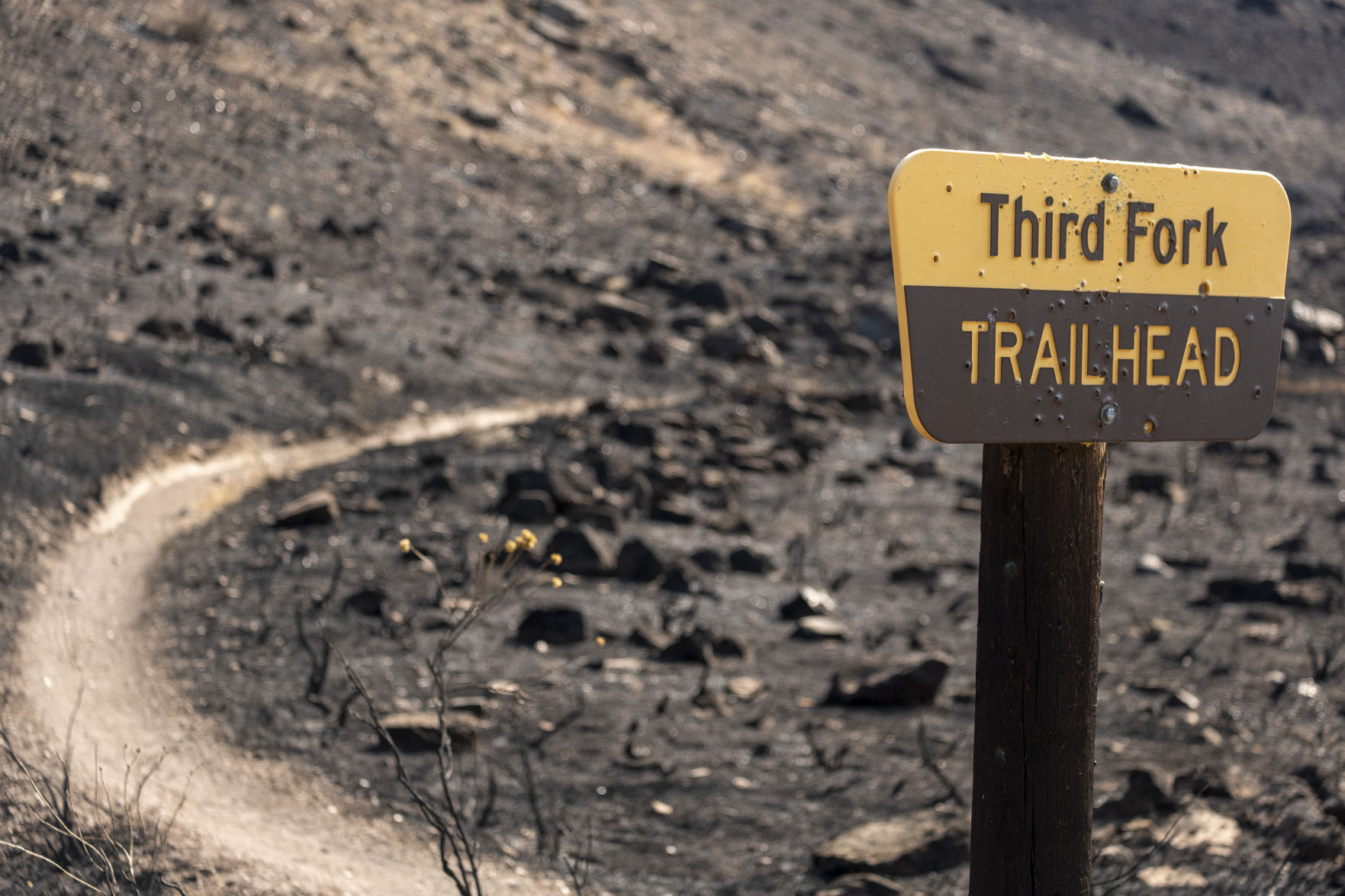 Rock Creek Canyon burn areas
